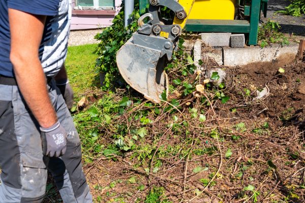 Hedge Removal Service