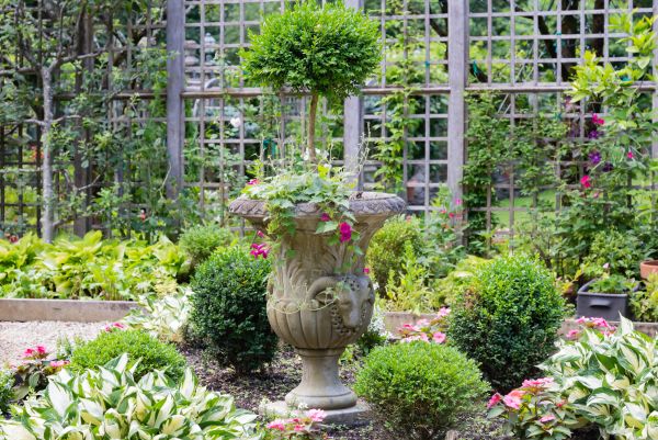 Topiary Pruning in League City