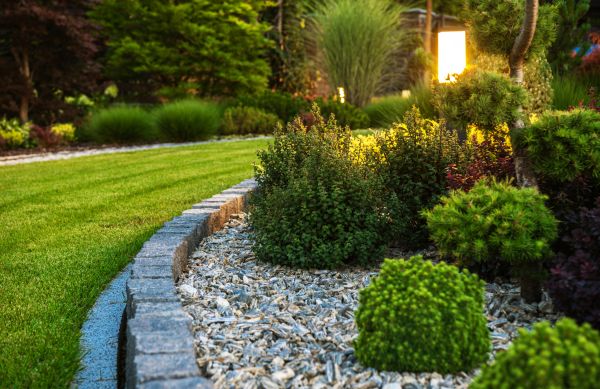 Cost of Bush Relocation in League City