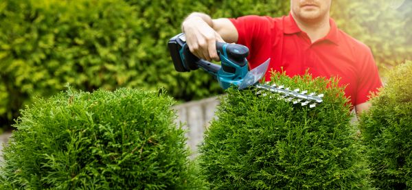 Cost of Hedge Shaping Service in League City